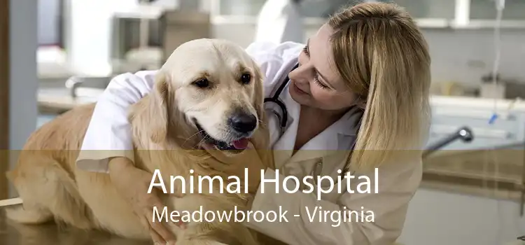 Animal Hospital Meadowbrook - Virginia