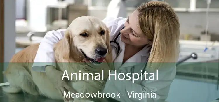 Animal Hospital Meadowbrook - Virginia