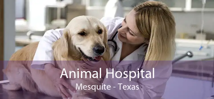Animal Hospital Mesquite - Texas