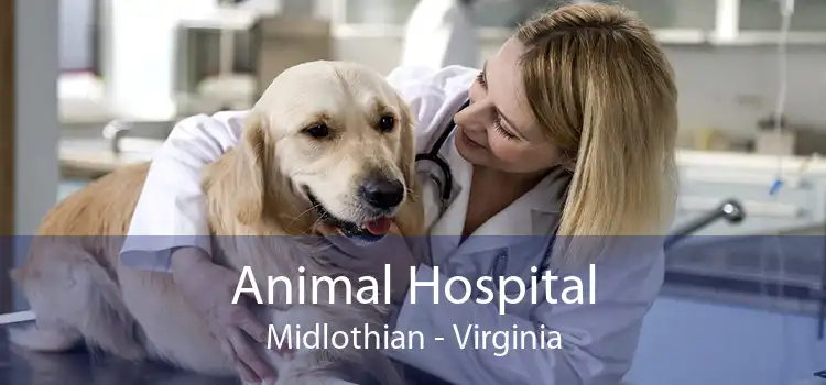 Animal Hospital Midlothian - Virginia