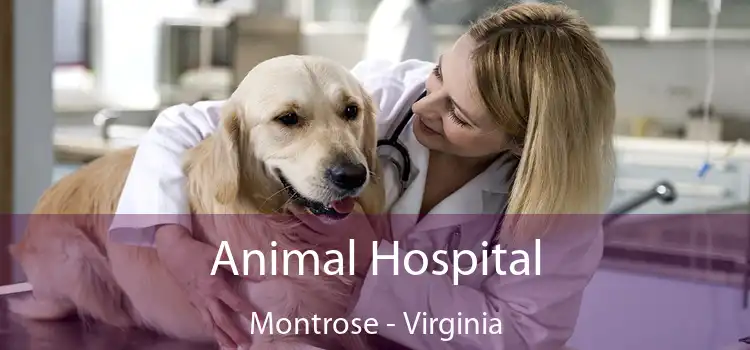 Animal Hospital Montrose - Virginia