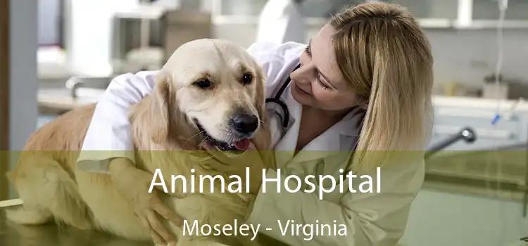 Animal Hospital Moseley - Virginia