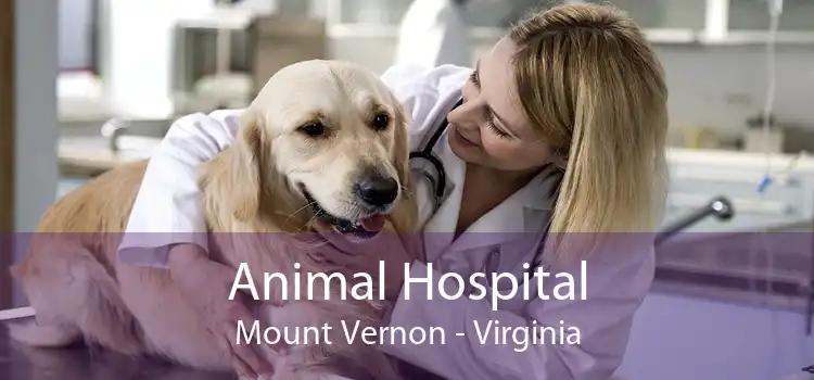 Animal Hospital Mount Vernon - Virginia