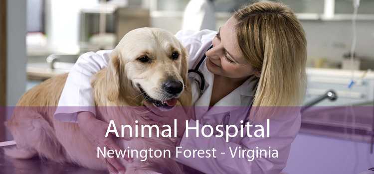 Animal Hospital Newington Forest - Virginia