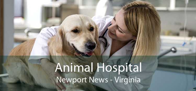 Animal Hospital Newport News - Virginia