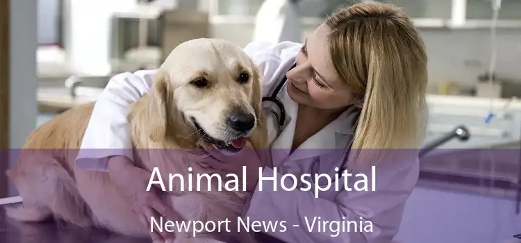 Animal Hospital Newport News - Virginia