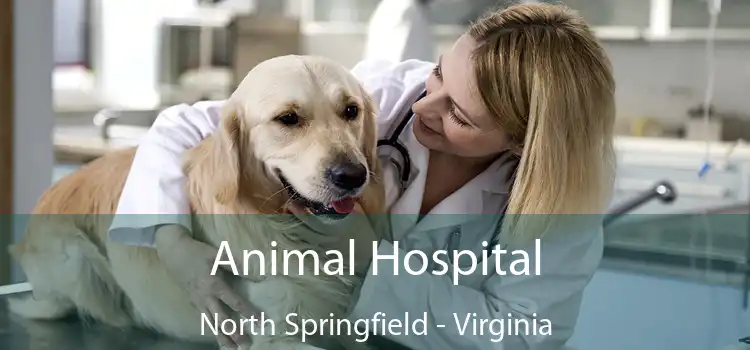 Animal Hospital North Springfield - Virginia