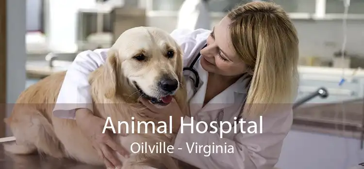 Animal Hospital Oilville - Virginia