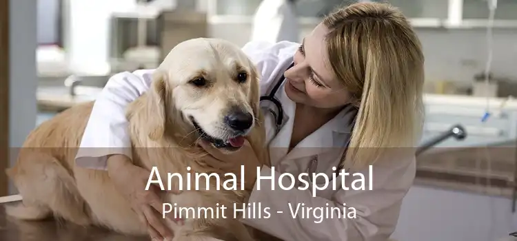 Animal Hospital Pimmit Hills - Virginia