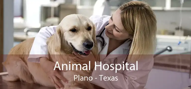 Animal Hospital Plano - Texas