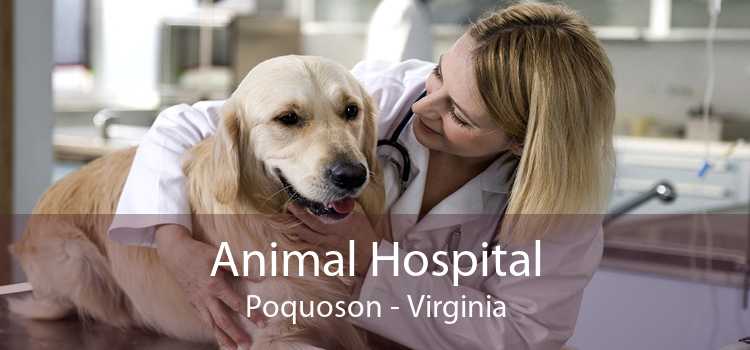 Animal Hospital Poquoson - Virginia