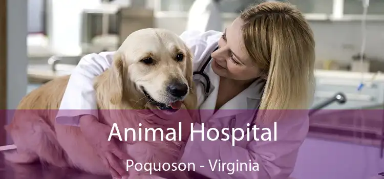 Animal Hospital Poquoson - Virginia