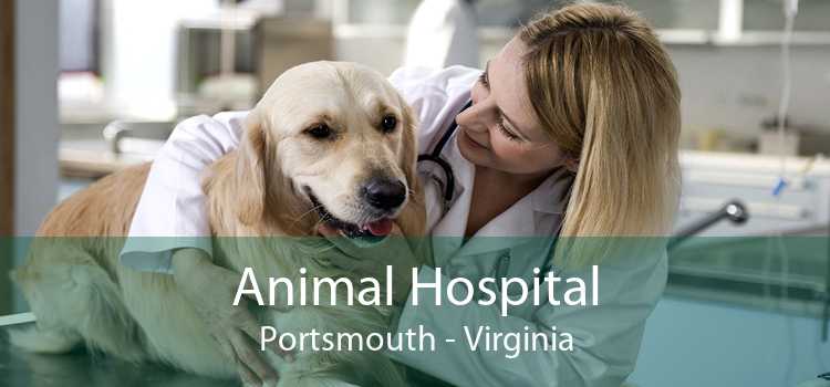 Animal Hospital Portsmouth - Virginia