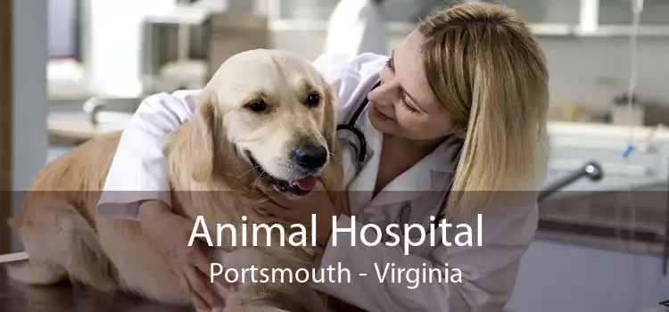 Animal Hospital Portsmouth - Virginia