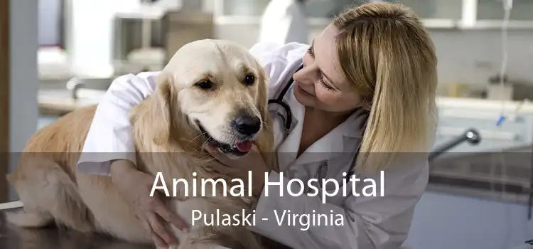 Animal Hospital Pulaski - Virginia