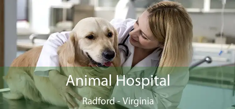 Animal Hospital Radford - Virginia