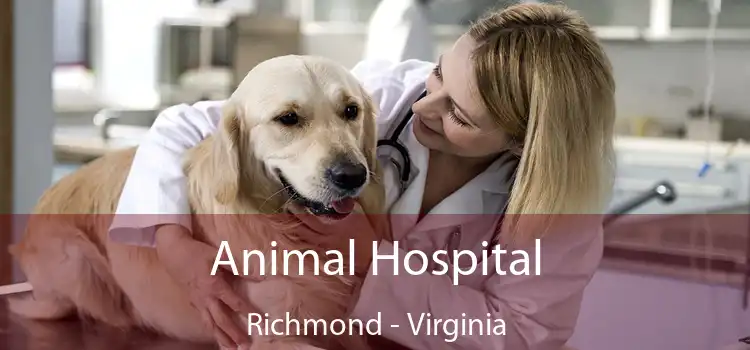 Animal Hospital Richmond - Virginia