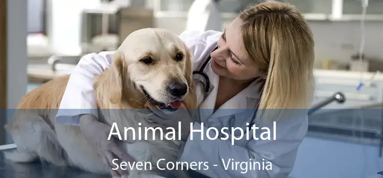 Animal Hospital Seven Corners - Virginia