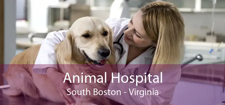 Animal Hospital South Boston - Virginia
