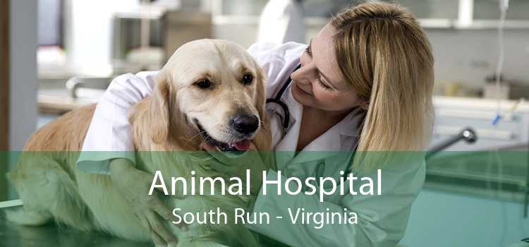 Animal Hospital South Run - Virginia