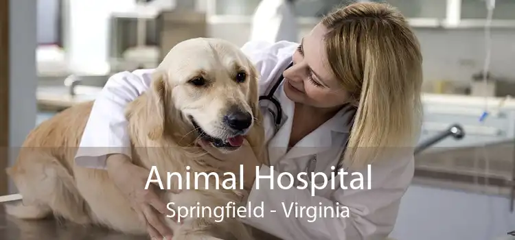 Animal Hospital Springfield - Virginia