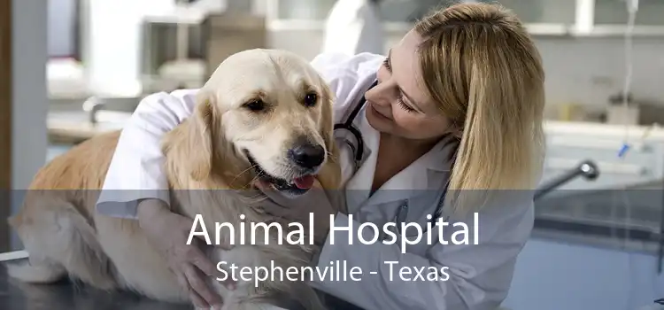 Animal Hospital Stephenville - Texas