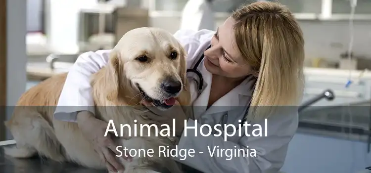 Animal Hospital Stone Ridge - Virginia