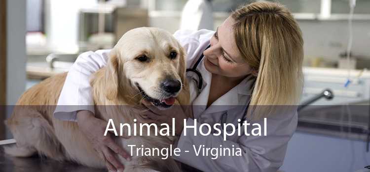 Animal Hospital Triangle - Virginia