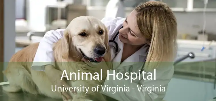 Animal Hospital University of Virginia - Virginia