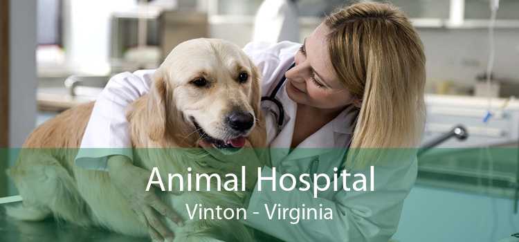 Animal Hospital Vinton - Virginia