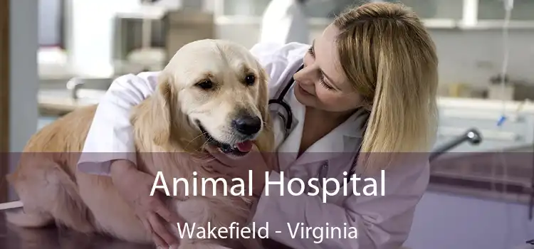 Animal Hospital Wakefield - Virginia