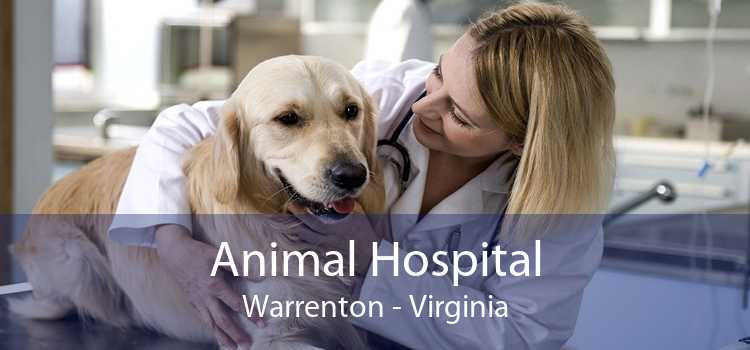 Animal Hospital Warrenton - Virginia