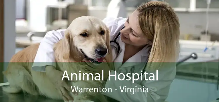 Animal Hospital Warrenton - Virginia