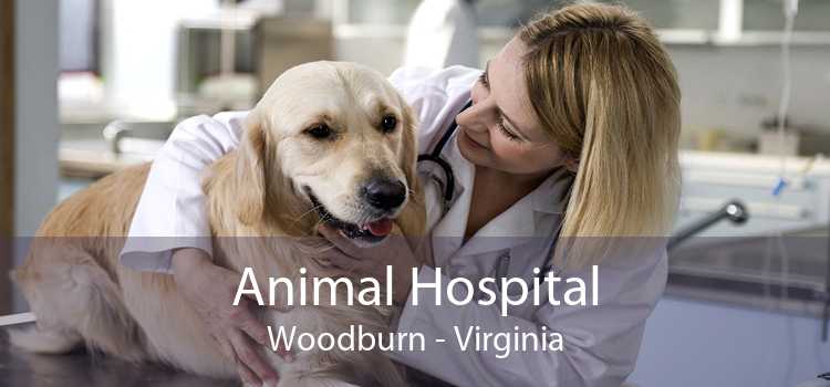 Animal Hospital Woodburn - Virginia