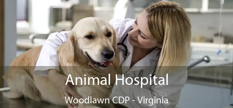 Animal Hospital Woodlawn CDP - Virginia