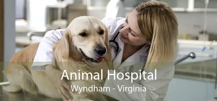 Animal Hospital Wyndham - Virginia