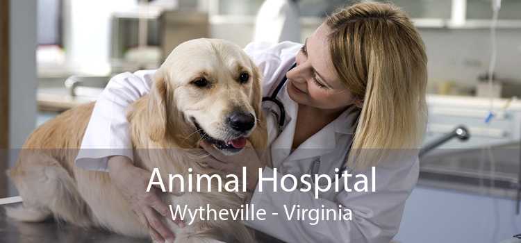 Animal Hospital Wytheville - Virginia