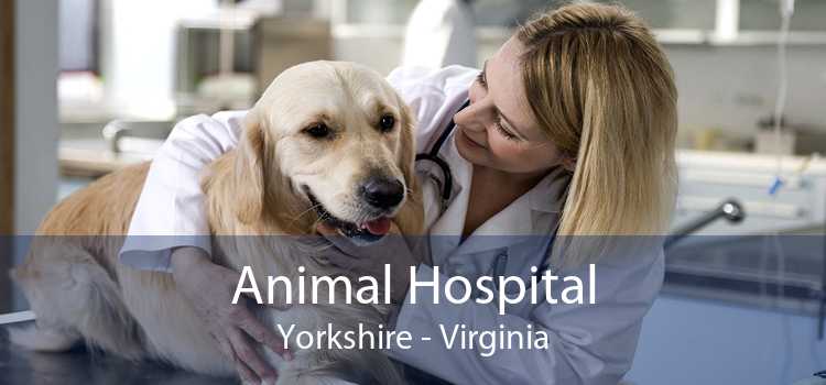 Animal Hospital Yorkshire - Virginia