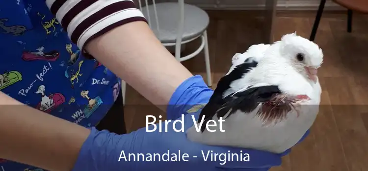 Bird Vet Annandale - Virginia