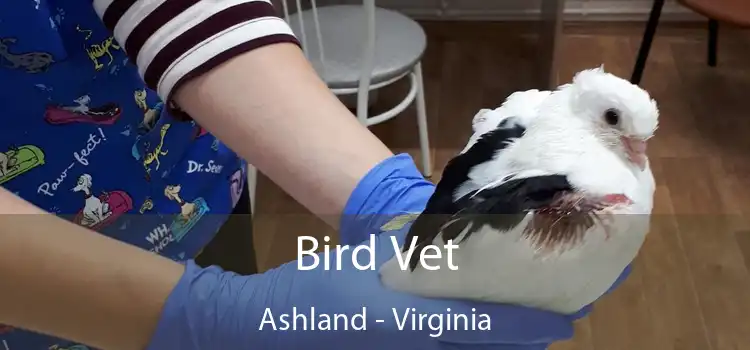 Bird Vet Ashland - Virginia