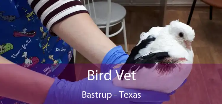 Bird Vet Bastrup - Texas