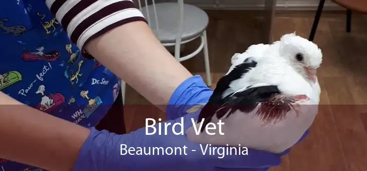 Bird Vet Beaumont - Virginia