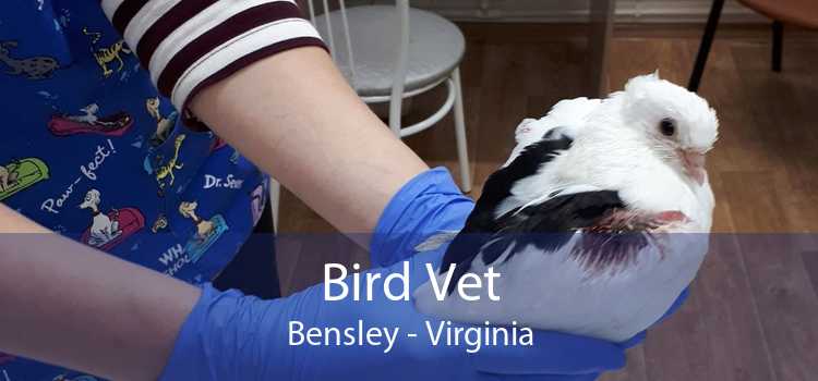 Bird Vet Bensley - Virginia
