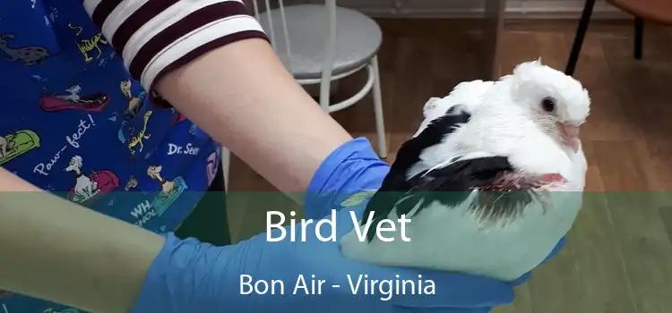 Bird Vet Bon Air - Virginia