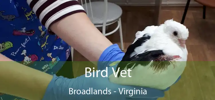 Bird Vet Broadlands - Virginia