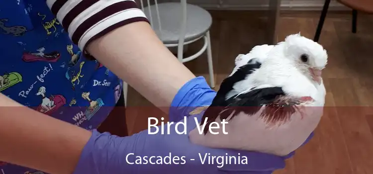 Bird Vet Cascades - Virginia