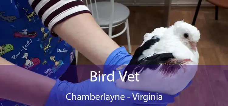 Bird Vet Chamberlayne - Virginia