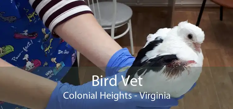 Bird Vet Colonial Heights - Virginia