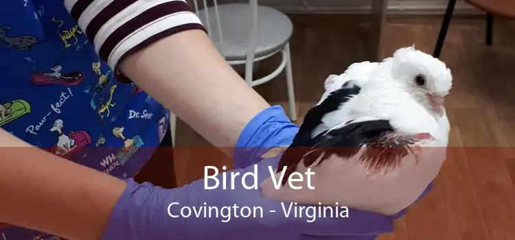 Bird Vet Covington - Virginia