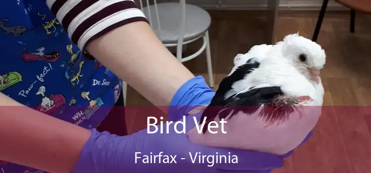 Bird Vet Fairfax - Virginia